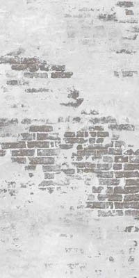 Купить Mirage Privilege Murales 120x240 