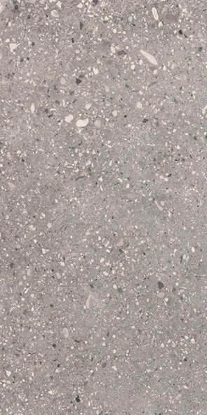 Купить Apavisa Wind Grey Solid 2cm 49,75x99,55 