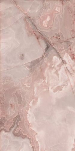 Купить Reves de Rex Rose Glossy 60x120 