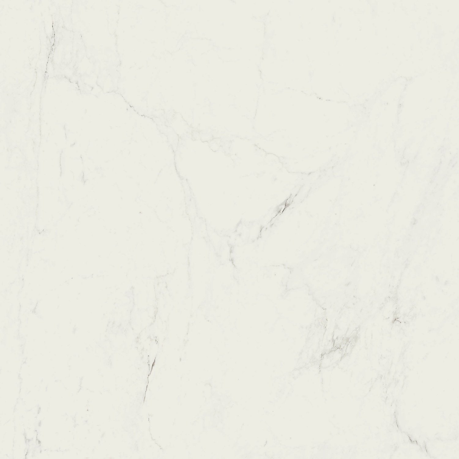 Купить Marazzi Grande Marble Look Altissimo Rett. M0FP 120х120 