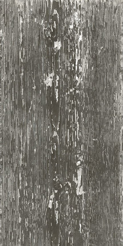 Купить Tagina Rivamancina Grafite Nat Ret 60x120 