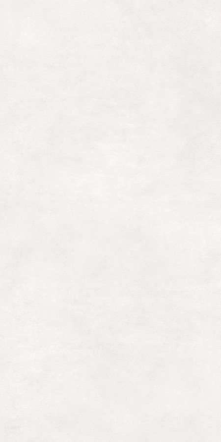 Купить Emil Ceramica Level Concrete White 160x320 