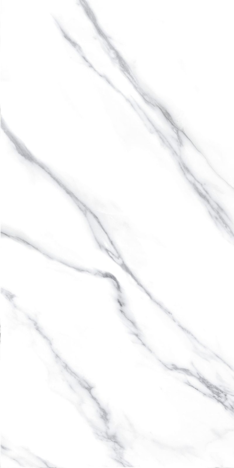 Купить Fanal Carrara Lap 60х120 
