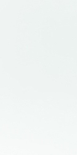 Купить Neodom Ambassador Alaska White Polished 60x120 