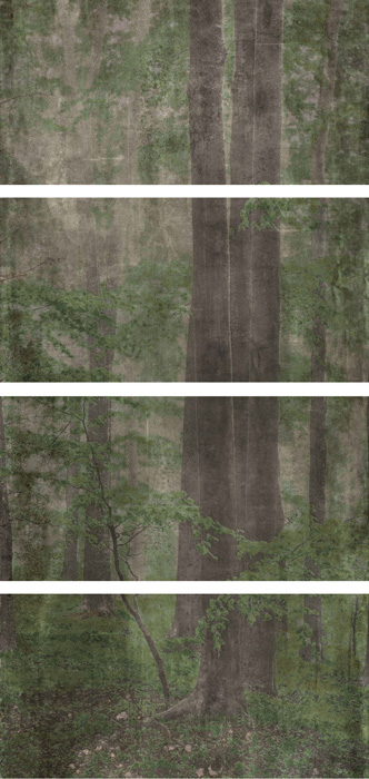 Купить Wide&Style Woods C CP4 120x240 