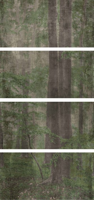 Купить Wide&Style Woods C CP4 120x240 