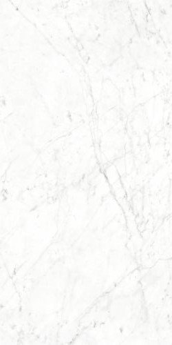 Купить Neodom Splendida Carrara Bianco 60x120 