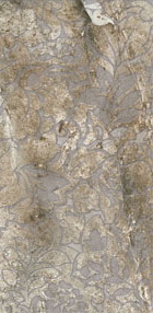 Купить Walnut Ramage Lap. Rett.  46.5х95.5 