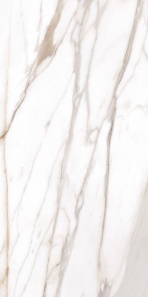 Купить Emil Tele Di Marmo Reloaded Calacatta Gold Canova Naturale  60x120 