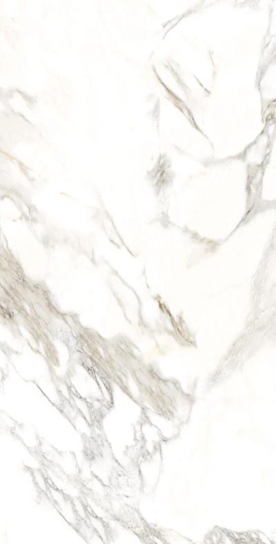 Купить Staro Palacio Statuario Altimo Polished 60x120 