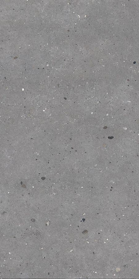 Купить Emil Ceramica Level Stone Cantera Grey 162x324 