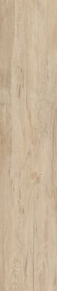 Купить Naxos Timeless Rect 20X120 