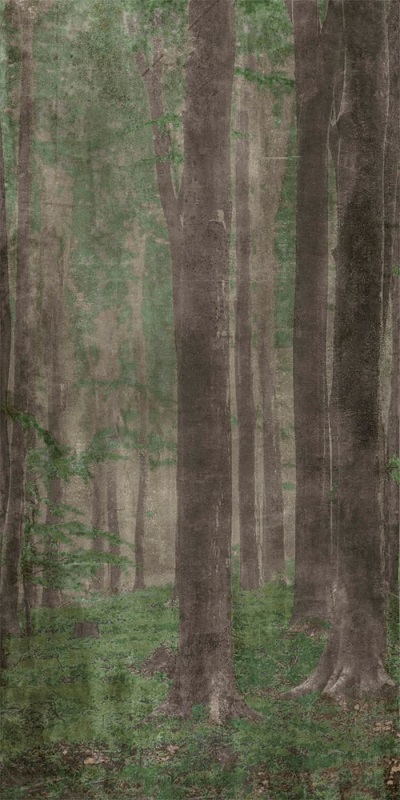 Купить Wide&Style Woods A 120x278 