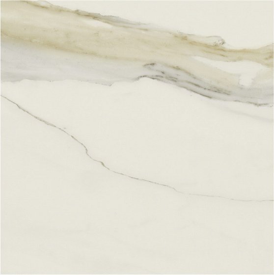 Купить Rex Magnum Classici Calacatta Gold Glossy 160х160 6мм 