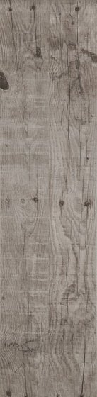 Купить Aparici Rafter Vison Natural 24,9x100 