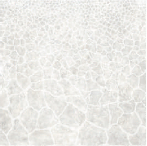 Купить Roberto Cavalli Metal Soul Platinum Giraffe 80x80 
