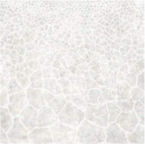 Купить Roberto Cavalli Metal Soul Platinum Giraffe 80x80 