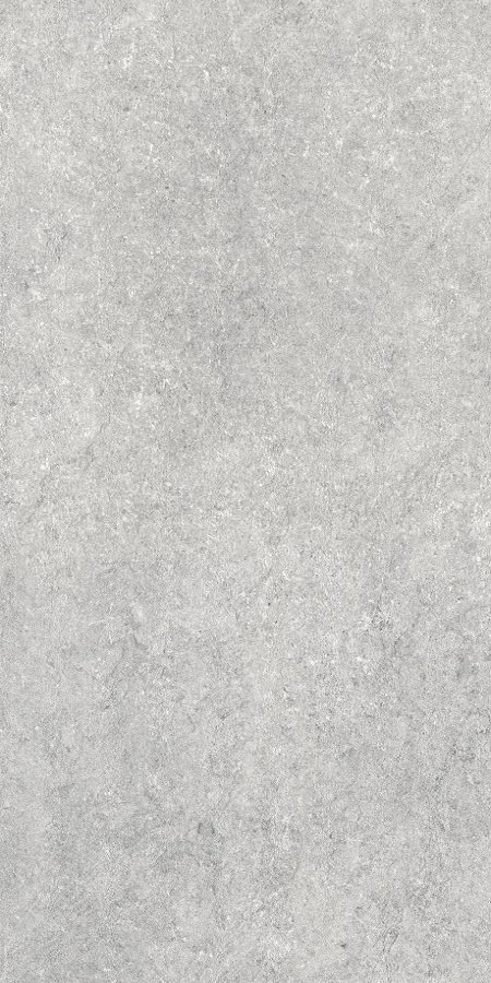 Купить Neodom Splendida Sandstone Gris Matt 60х120 
