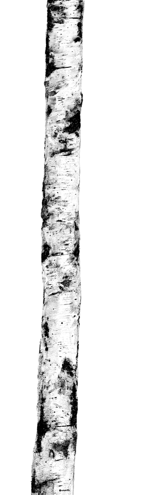 Купить Kerlite Wanderwall Ritmi A1 3.5 mm 300x100 