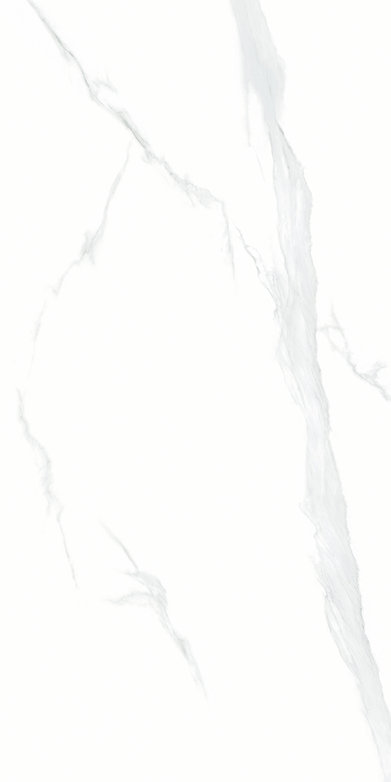 Купить NT Ceramic Bright And Shiny Statuario NTT9106P  60×120 