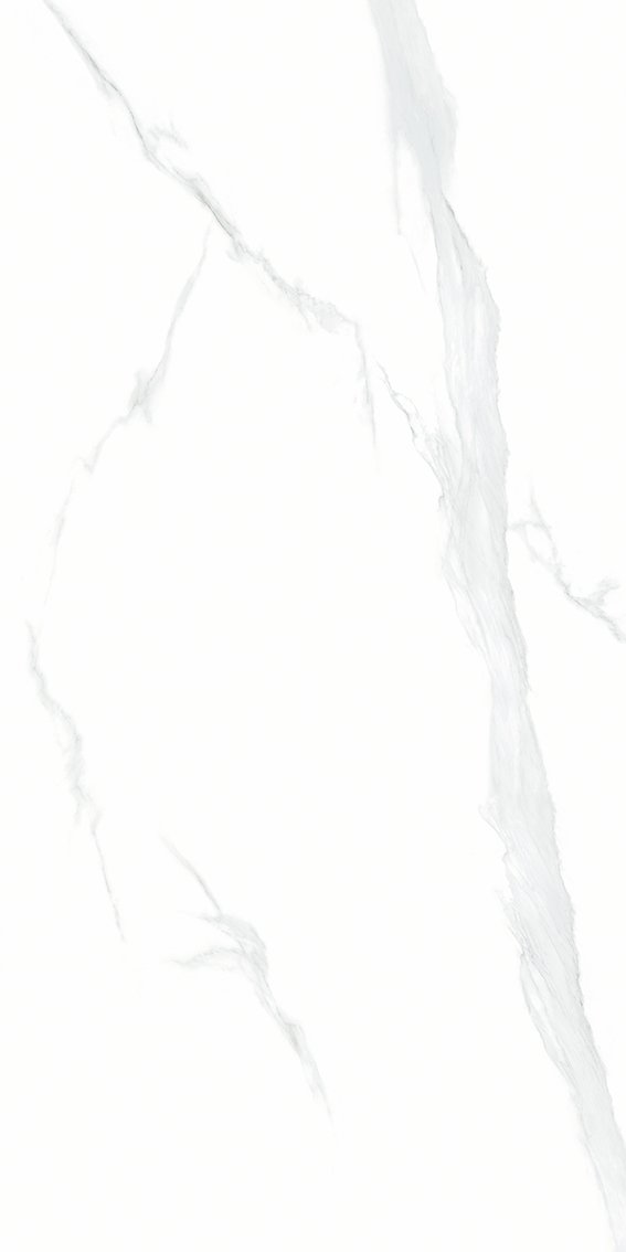 Купить NT Ceramic Bright And Shiny Statuario NTT9106P  60×120 