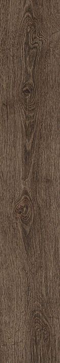 Купить Atlas Concorde Arbor Tobacco 15x90 