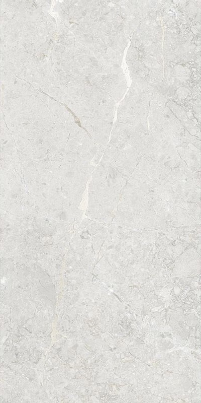 Купить Art&Natura Ceramica Una Pietra Silver Glossy 60x120 