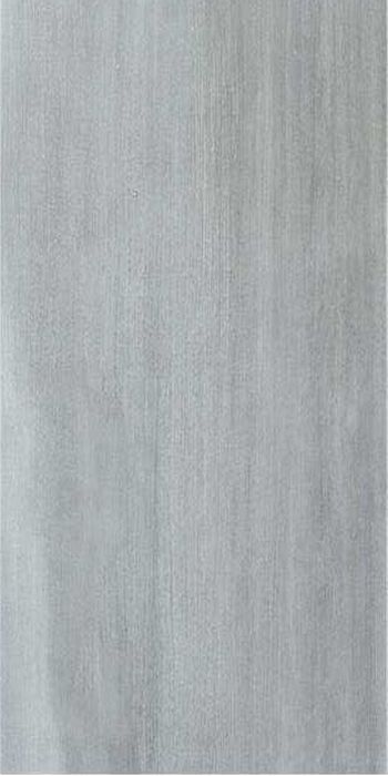 Купить Stylnul (STN) Evolve Petrol 60x120 