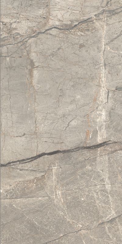 Купить Caesar Anima Futura Amazing Silver 60x120 