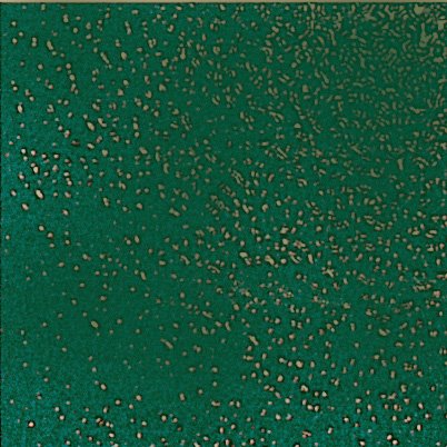 Купить Petracers Grand Elegance Pavimento Verde Bosco 20х20 