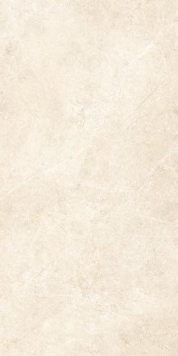 Купить Ragno Realstone Argent Avorio RT 60x120 