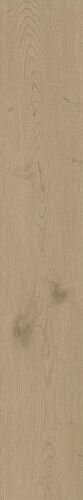 Купить Atlas Concorde Entice Ash Oak Natural 20х120 