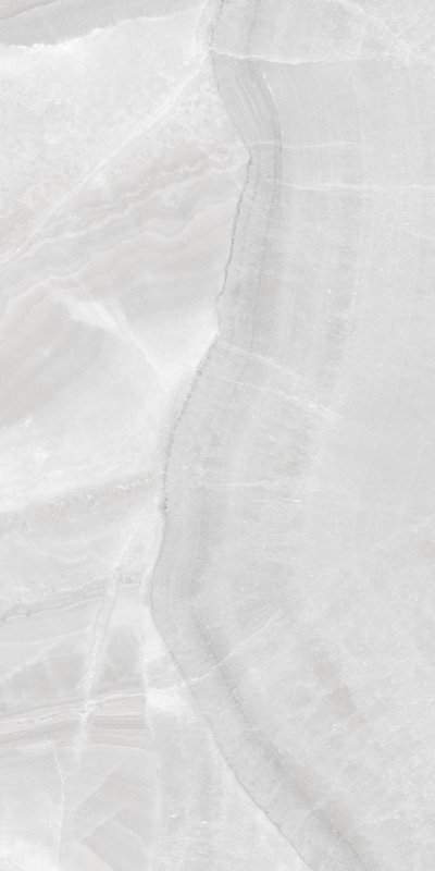 Купить Ceracasa Arezzo Ice Pulido 49,1x98,2 