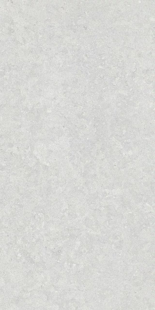 Купить Peronda Ghent Silver Antislip C/R 60x120 
