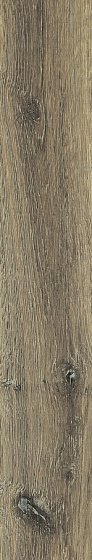 Купить Rex Planches de Rex Noisette 20х120 