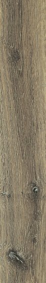 Купить Rex Planches de Rex Noisette 20х120 