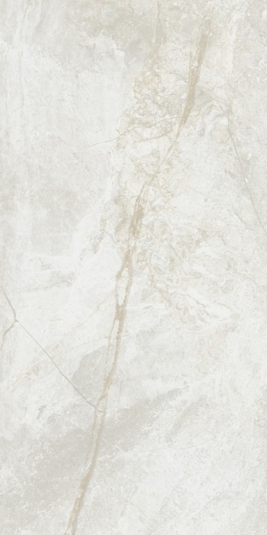Купить Porcelanite Dos Tamesis White Nat Ret 64x147,5 