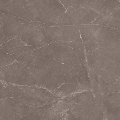 Купить Love Ceramic Marble Tortora Polished 59,2x59,2 