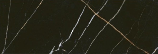 Купить Eletto Ceramica Black&Gold 24,2x70 