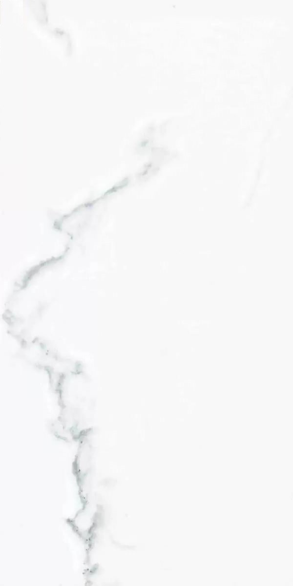 Купить Prissmacer Calacatta Blanco Polished 60x120 