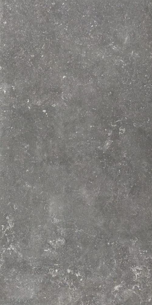 Купить Rex Atmospheres De Rex Charme 60x120 