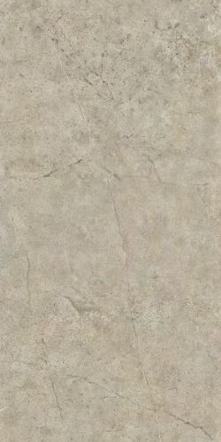 Купить NT Ceramic Quanta Grey  NS612NTT9021 60x120 