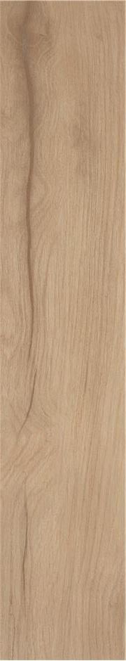 Купить Stylnul (STN) Vertige Beige MT 23x120 