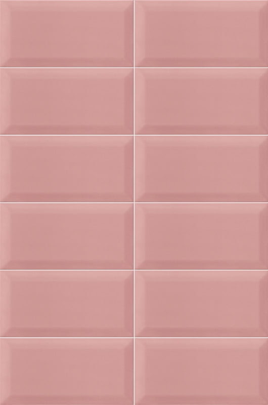 Купить Mainzu Plus Bissel Pink 10х20 