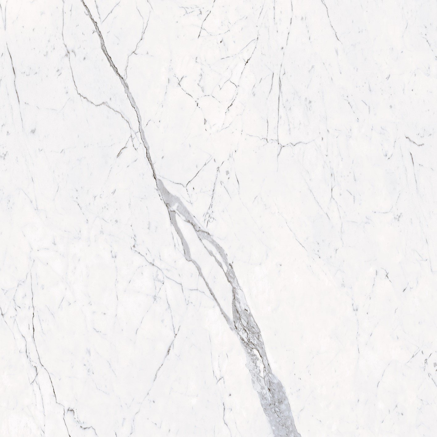 Купить Porcelanosa Baltic Massa Brillo 59,6x59,6 