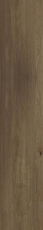 Купить Monocibec Ashley Oak 30x120 