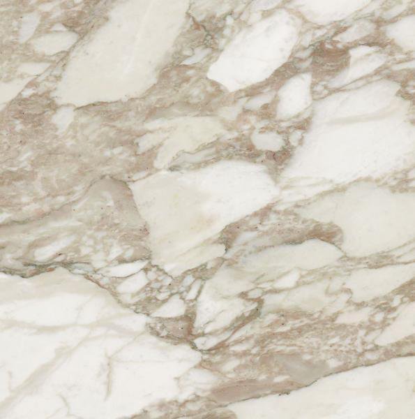 Купить Rex Ceramiche I Bianchi di Rex Calacatta Luc 6mm 80х80 