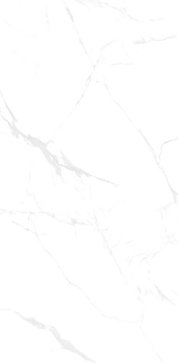 Купить NT Ceramic Callacata Carving NTT99607M 60x120 