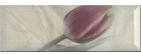 Купить Monopole Gourmet/Romantic Decor Romantic Je T'Aime 10x30 