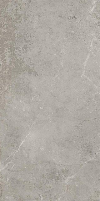 Купить STN Monolith Grey Rect 59,5x120 